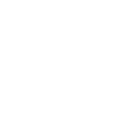 Open Multipurpose Area